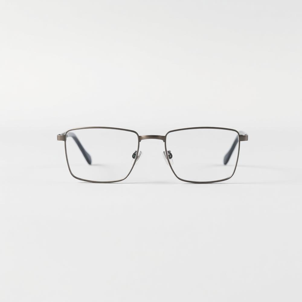 North Optical eyewear frame, Titanium